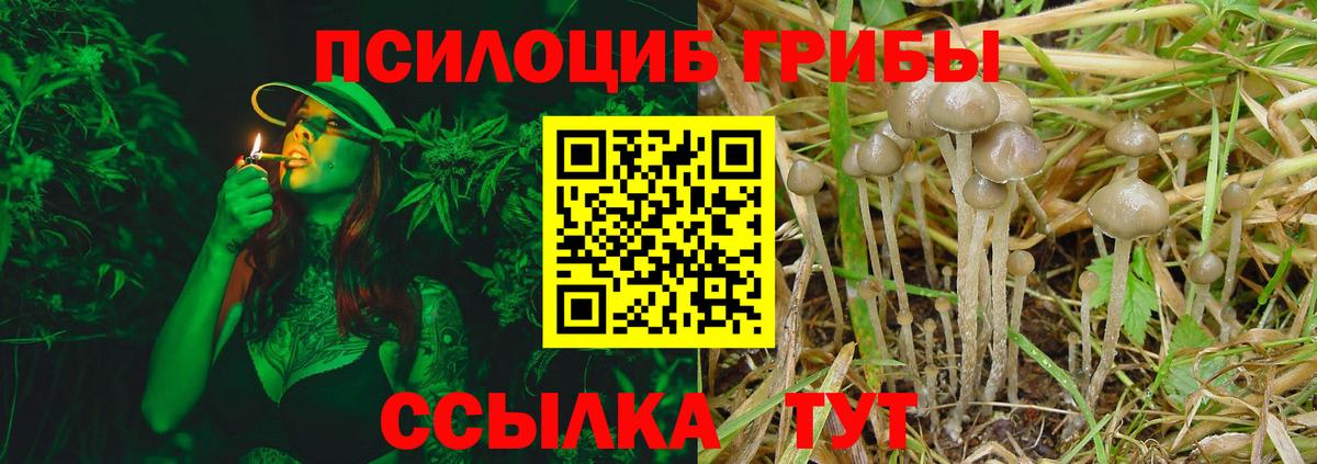 Кемерово  Псилоцибиновые грибы Cubensis  Псилоцибиновые грибы MAGIC MUSHROOMS  Вход с VPN 