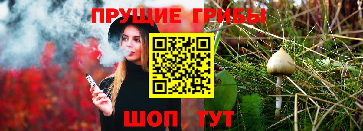 Псилоцибиновые грибы Psilocybe Кемерово