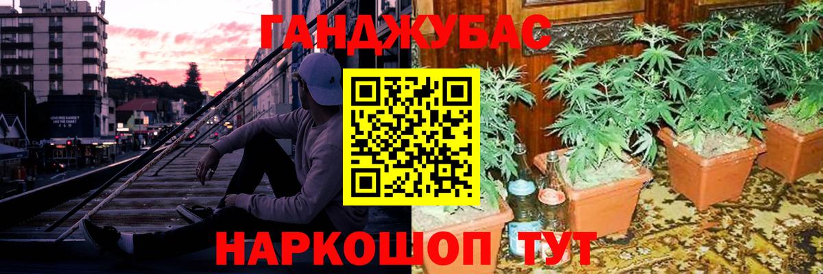 Бошки марихуана гибрид  Вход с VPN  Канабис планчик  Канабис AK-47  Бошки Шишки ГИДРОПОН  Кемерово 